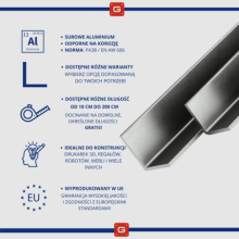Kątownik aluminiowy 100x20x2mm